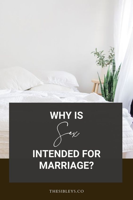 why is sex intended for marriage bed snake plant white walls